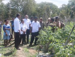 Penyuluh Pertanian di Belu Diminta Fokus Membina Petani Hortikultura