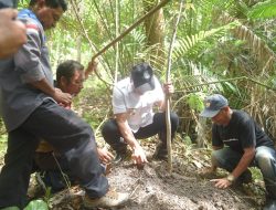 Lestarikan Mata Air, Bidang SDA Dinas PUPR dan Bupati Belu Tanam 1700 Anakan Pohon di Mandeu