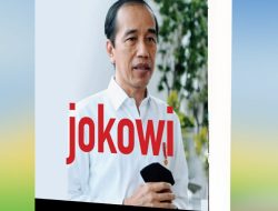 Jurnalis Ansel Deri Terbit Buku Jokowi Presiden Dua Periode